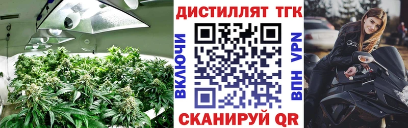 купить  сайты  Курган  ТГК жижа 