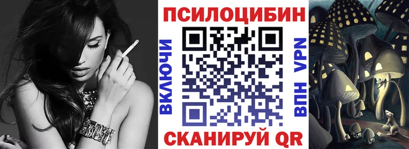 где продают наркотики  Курган  Псилоцибиновые грибы мицелий 