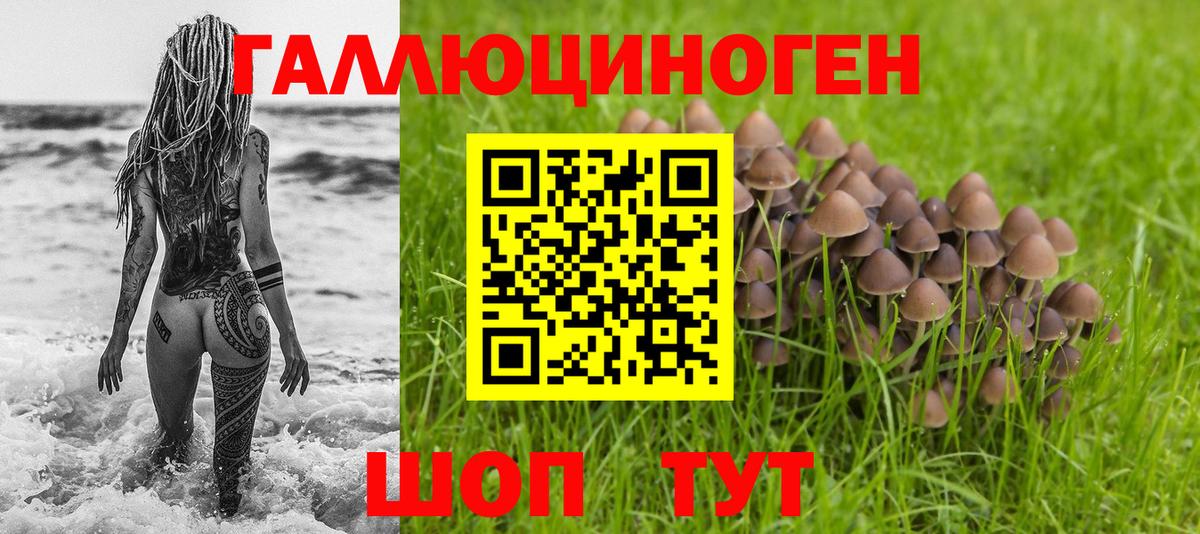 Псилоцибиновые грибы мицелий  Вход с VPN  Курган 
