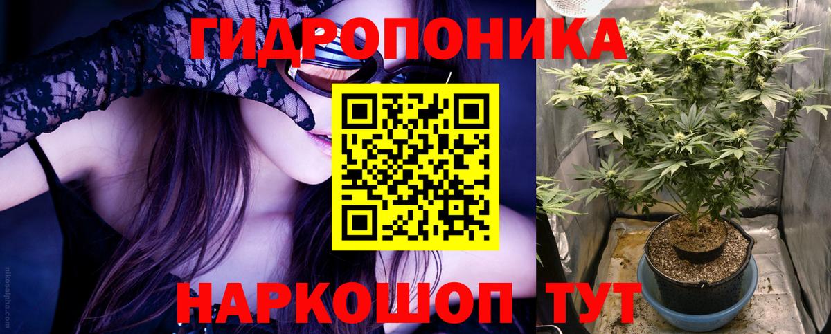 Бошки марихуана ГИДРОПОН Курган